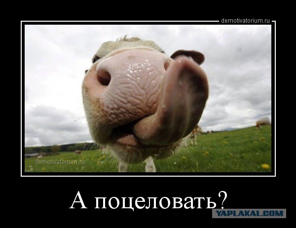Ну вот зачем?