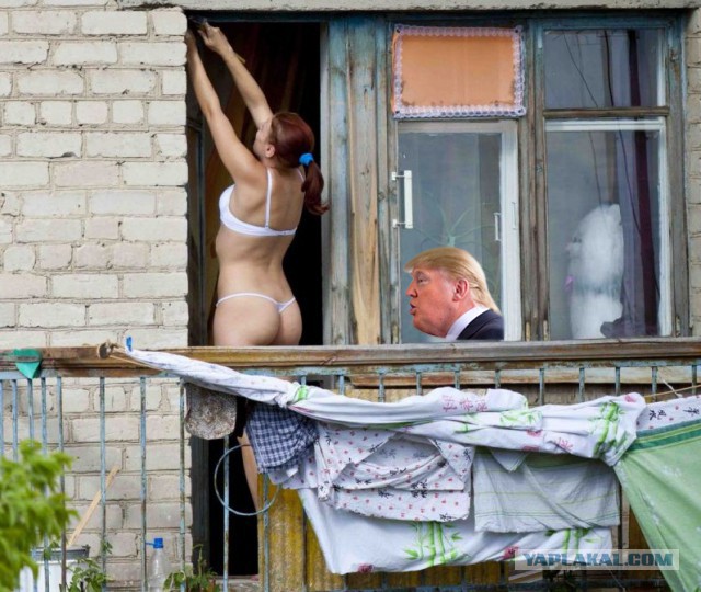 Фотожаба "Профиль Трампа"