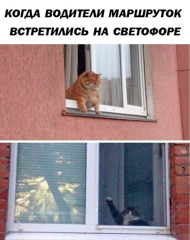 Приколы  в стиле "Когда..."