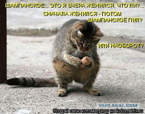 А какие вы делали покупки по пьяни?