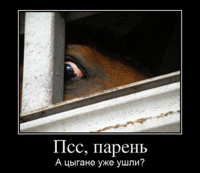 Парень добровольно отдал цыганке все деньги из своего кошелька