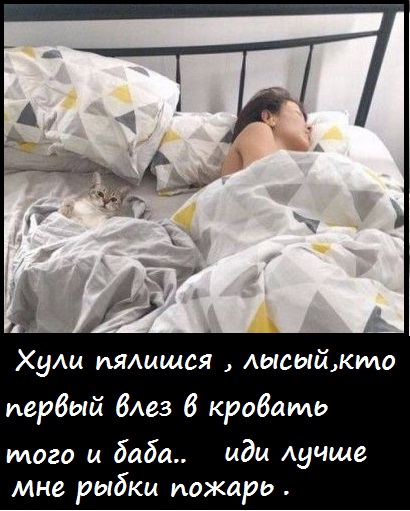 Подборка интересных и веселых картинок