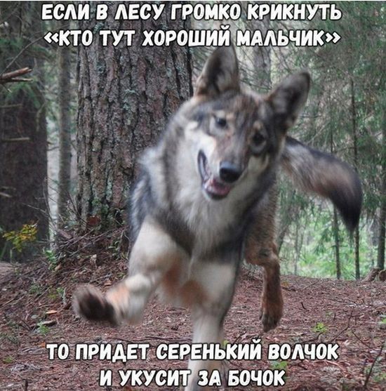 Нестандартный юмор