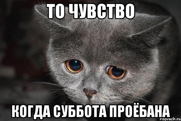 Немного картинок в эту субботу