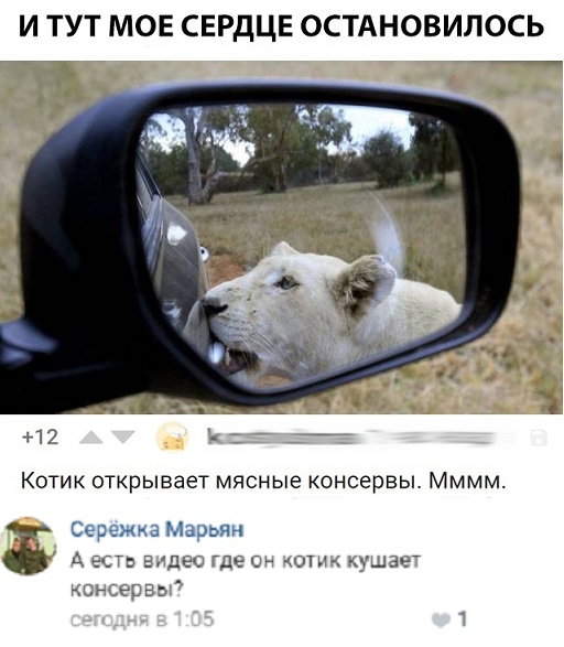 Прикольные комментарии и высказывания из Сети 24.10.2018