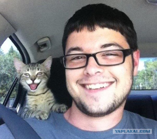 Котовторник 11.09.2012