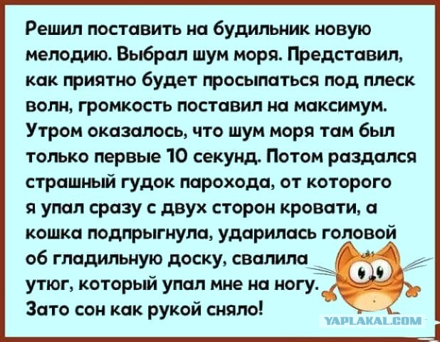 Анекдоты, соц-сети и картинки с надписями