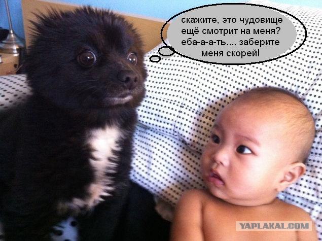 Кто этот зверь?