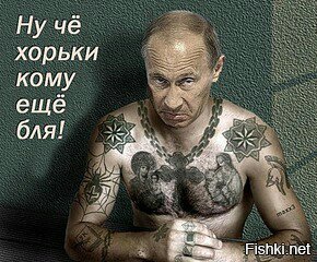 Альтернативное послание Путина
