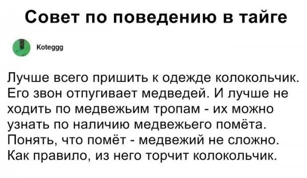 Картинки с надписями, истории и анекдоты