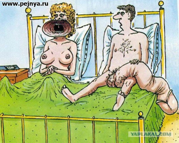 Картинки