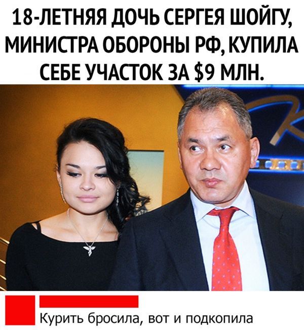 13451597.jpg