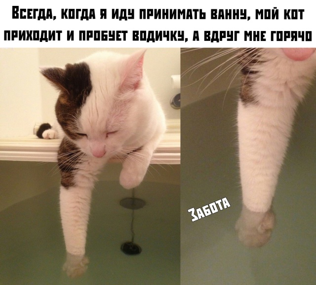 Немного картинок с надписями и без - 25