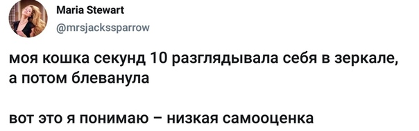 Чуток картинок 14.10.19
