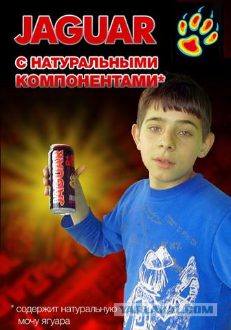 Продолжай бухать, животное