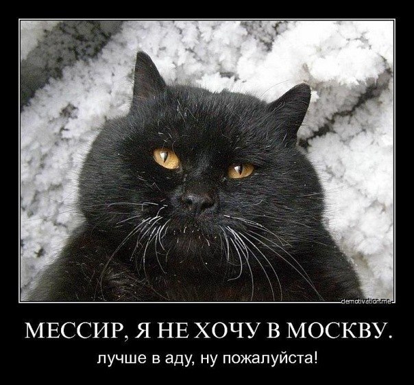 Древние мемы с ВК. Для тех кто забыл #4