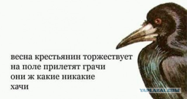 Бредзона 31.03.2020