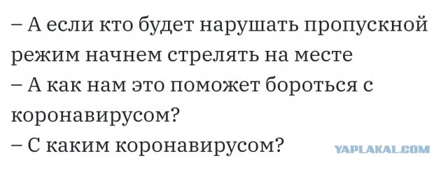 Шапито с пропусками