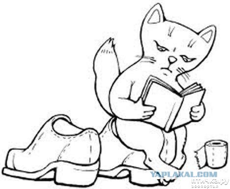 20 снимков «с запахами», которые можно почувствовать сквозь монитор