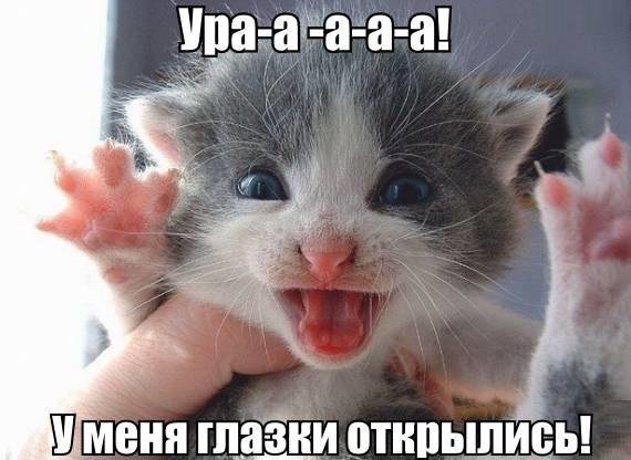 Прикольные и просто красивые картинки 10.08.2020