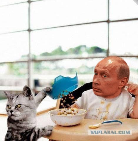 Удивленный Вова
