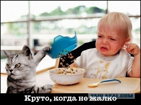 Круто, когда не жалко!