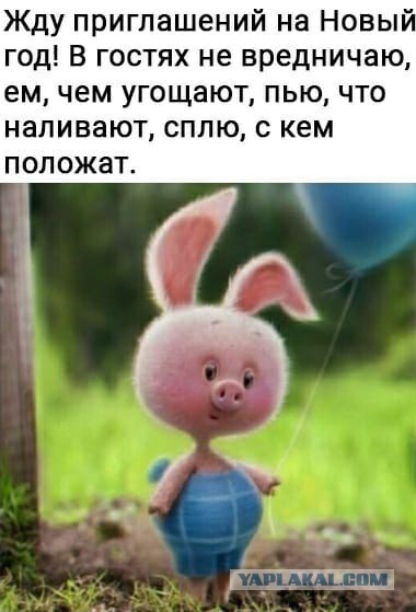 Бредзона 19.12.20