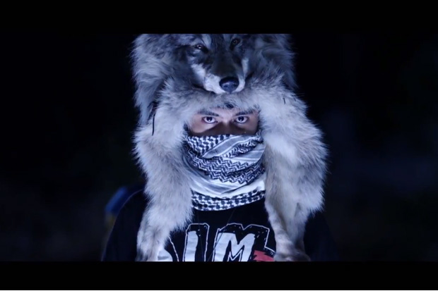 Эпичный кот