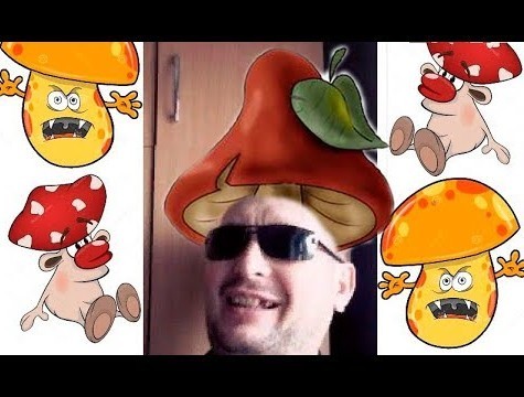 Друзья! Новая песня! Грибы номер два (Пашкетт)
