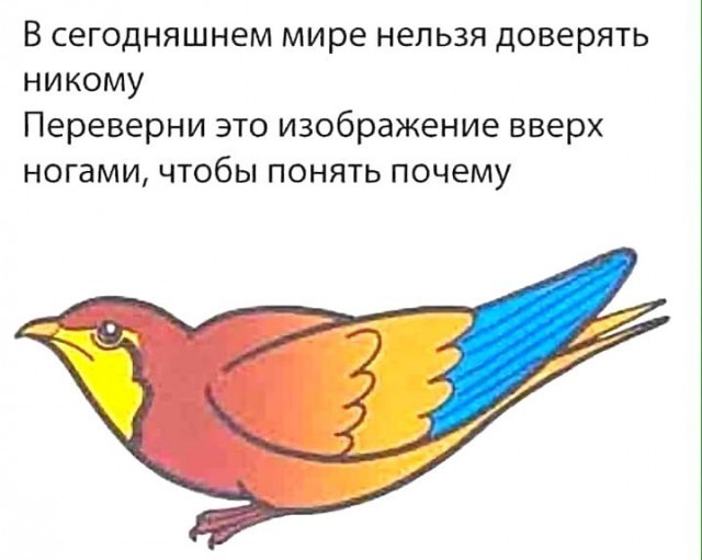 Плановая деградация.