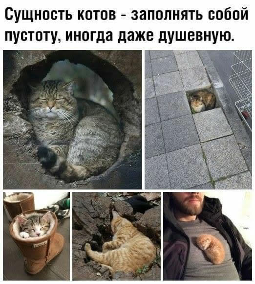 Картинки на понедельник 21.06.2021