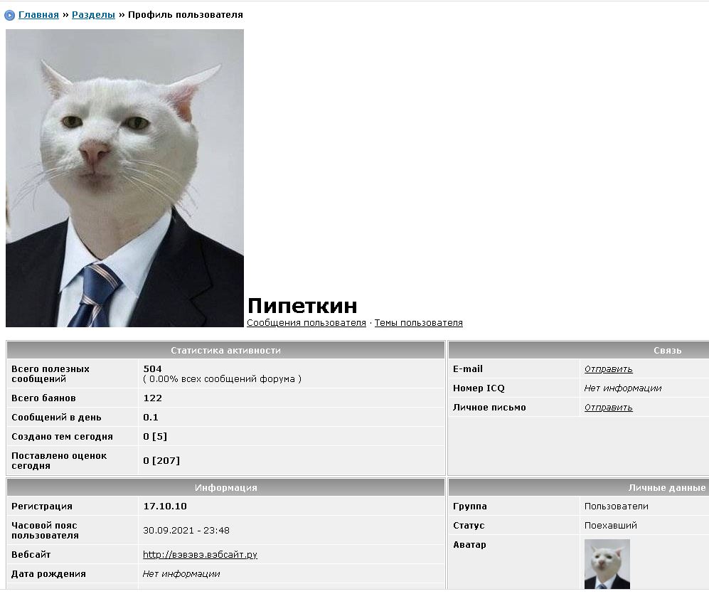 Картинка кот приемлемо