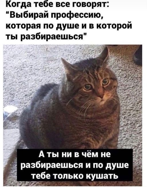 Так себе картинки 07.10.21