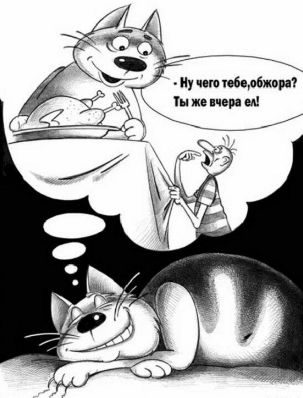 Картинки и мемы для настроения