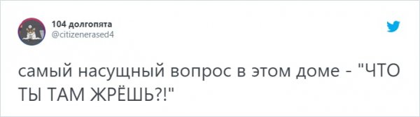 "Купил коту игрушку" и другие картинки