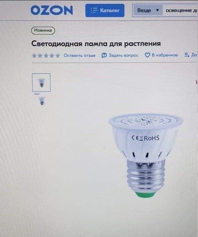 Весёлый полтишок 24.01