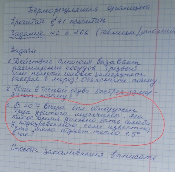 Сибирским школьникам дали задачу об остывании трупа: «На какое время должно быть алиби?»
