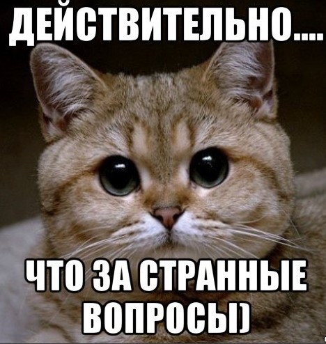 Три моих вопроса