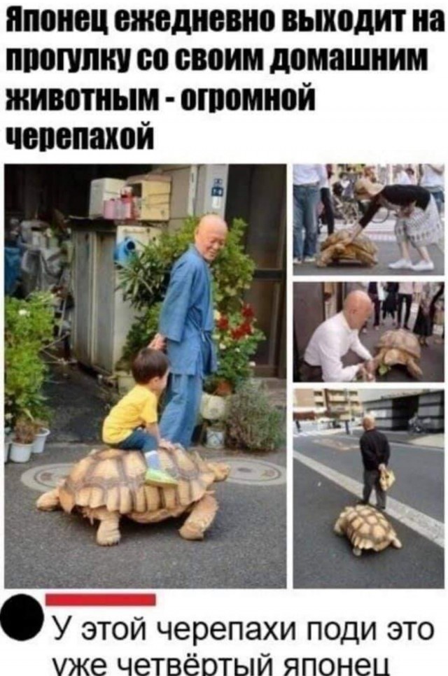 Весёлый полтишок 01.04