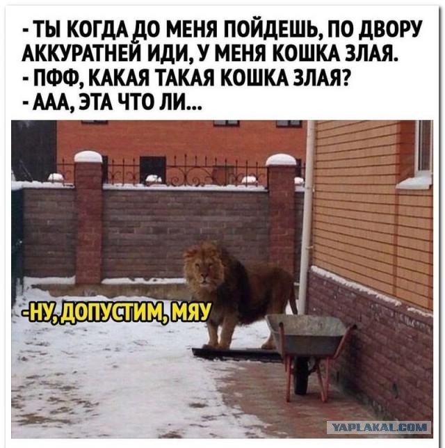 Россиян предупредили о внезапных визитах налоговиков