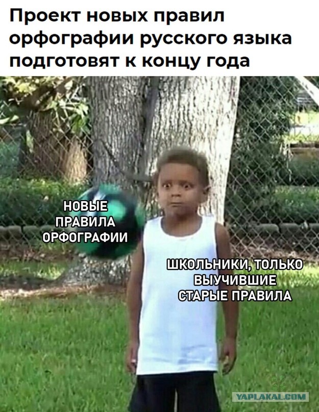 Весёлый полтишок 08.06.2022