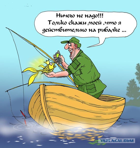 Как я провел эти выходные.