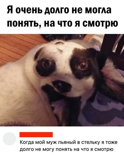 Алкопост 25.06.22