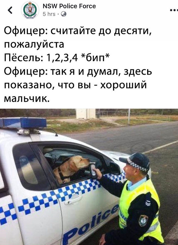 Картинки и мемы для настроения. Выходные близко...