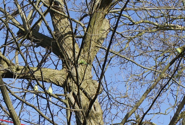 Автотур "Опять несет куда глаза глядятъ"