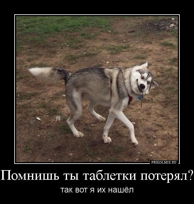 А мне повезло маленько