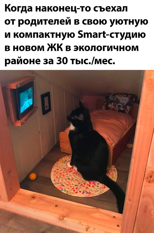 Картинки и мемы, всяко - 169