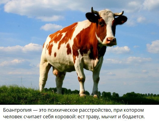 В Британии дети начали себя идентифицировать как животные