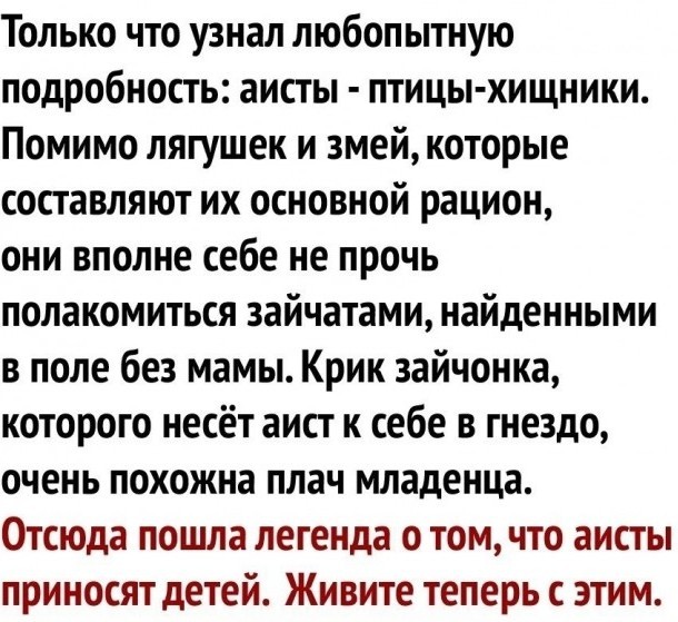 Зайчишка с львиным сердцем: лучшая защита это - нападение