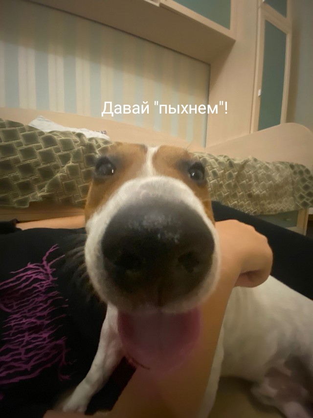 Откуда берутся женоненавистники